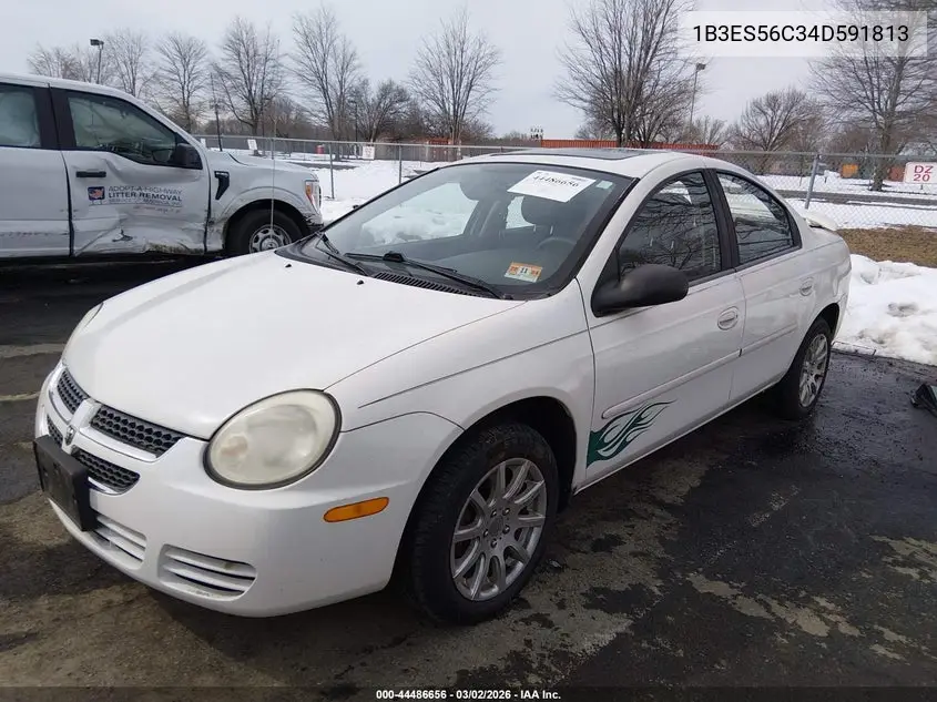 2004 Dodge Neon Sxt VIN: 1B3ES56C34D591813 Lot: 44486656