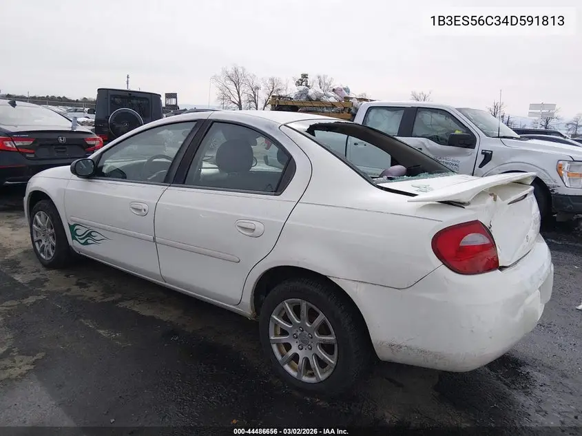 2004 Dodge Neon Sxt VIN: 1B3ES56C34D591813 Lot: 44486656