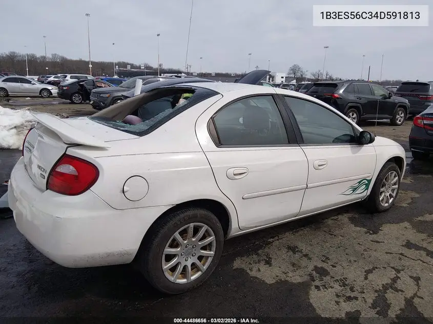 2004 Dodge Neon Sxt VIN: 1B3ES56C34D591813 Lot: 44486656