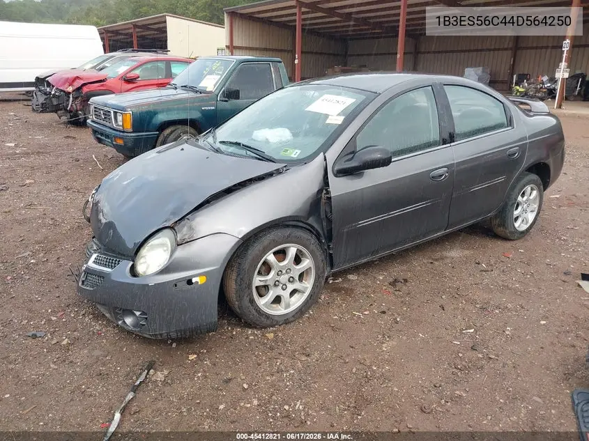 2004 Dodge Neon Sxt VIN: 1B3ES56C44D564250 Lot: 45412821