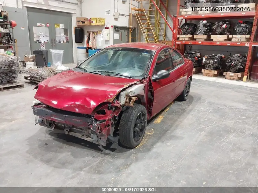 2005 Dodge Neon Sxt VIN: 1B3ES56C35D222046 Lot: 30080629