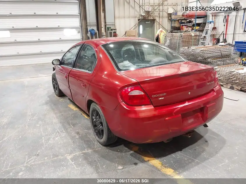 2005 Dodge Neon Sxt VIN: 1B3ES56C35D222046 Lot: 30080629