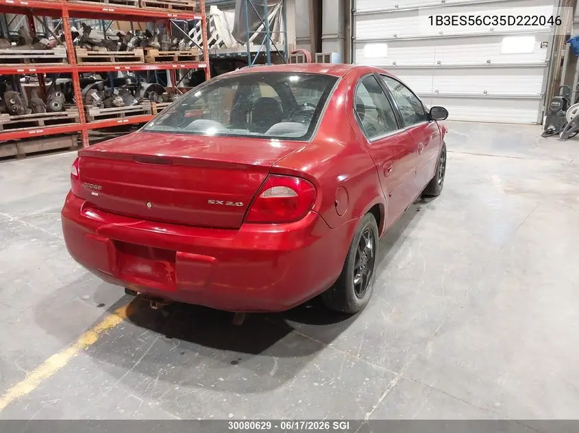 2005 Dodge Neon Sxt VIN: 1B3ES56C35D222046 Lot: 30080629
