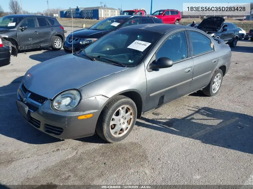 2005 Dodge Neon Sxt VIN: 1B3ES56C35D283428 Lot: 43946406