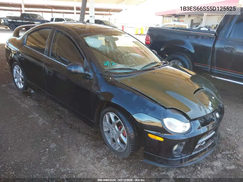 2005 Dodge Srt4 VIN: 1B3ES66S55D125525 Lot: 44603330