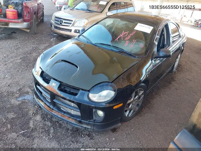 2005 Dodge Srt4 VIN: 1B3ES66S55D125525 Lot: 44603330
