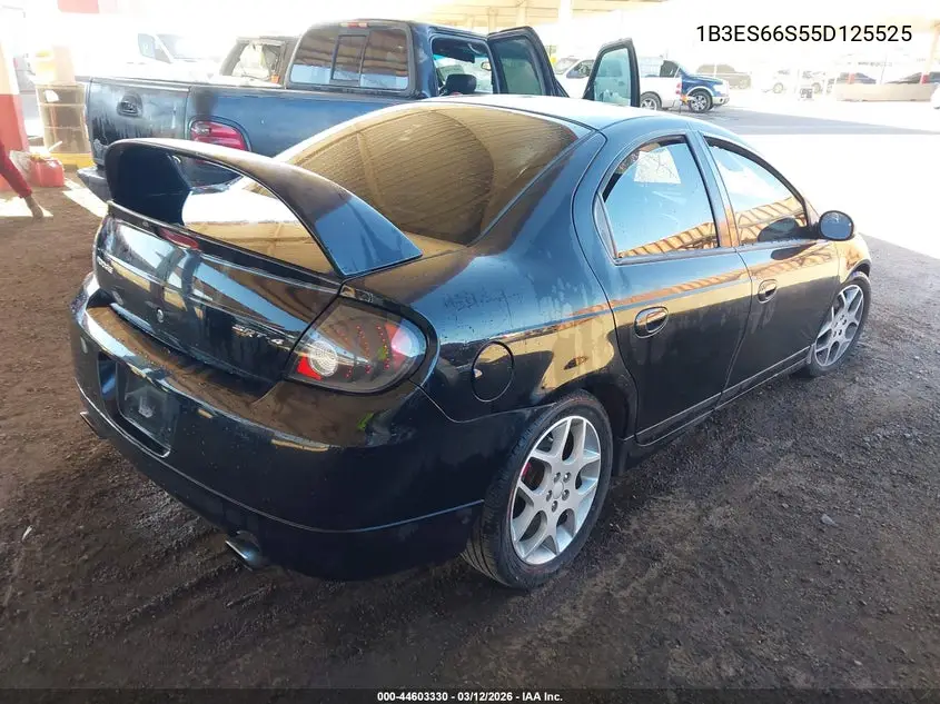 2005 Dodge Srt4 VIN: 1B3ES66S55D125525 Lot: 44603330