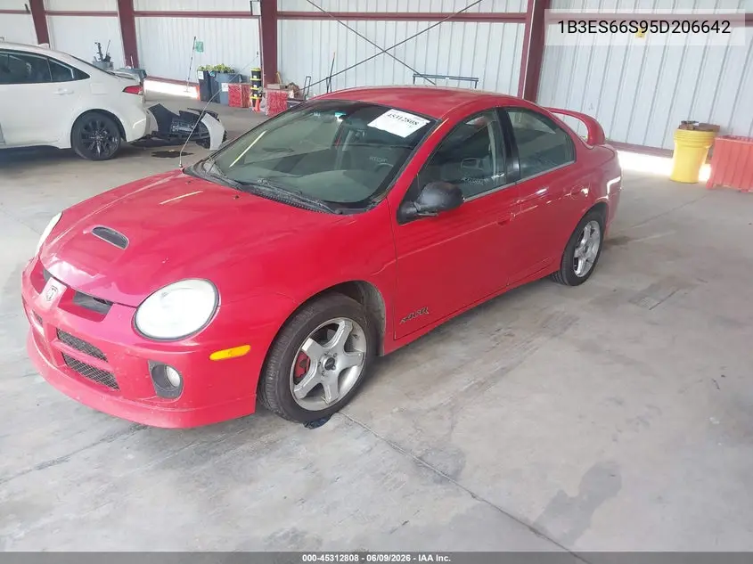 2005 Dodge Srt4 VIN: 1B3ES66S95D206642 Lot: 45312808