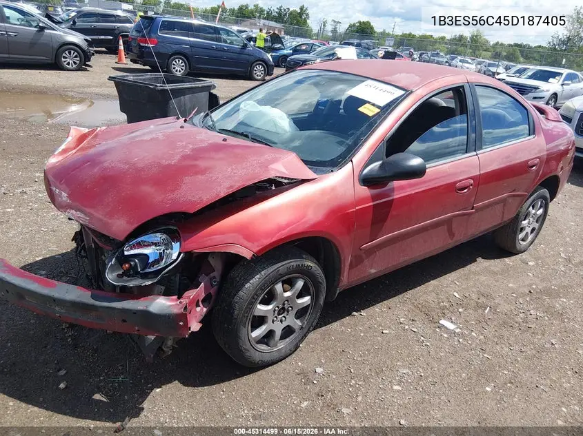 2005 Dodge Neon Sxt VIN: 1B3ES56C45D187405 Lot: 45314499