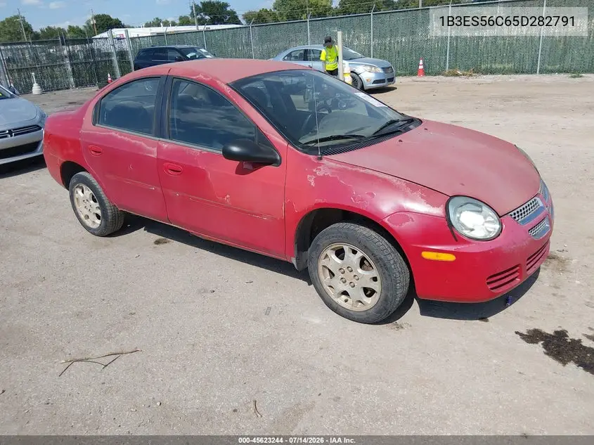 2005 Dodge Neon Sxt VIN: 1B3ES56C65D282791 Lot: 45623244
