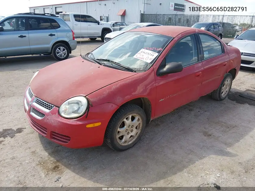 2005 Dodge Neon Sxt VIN: 1B3ES56C65D282791 Lot: 45623244