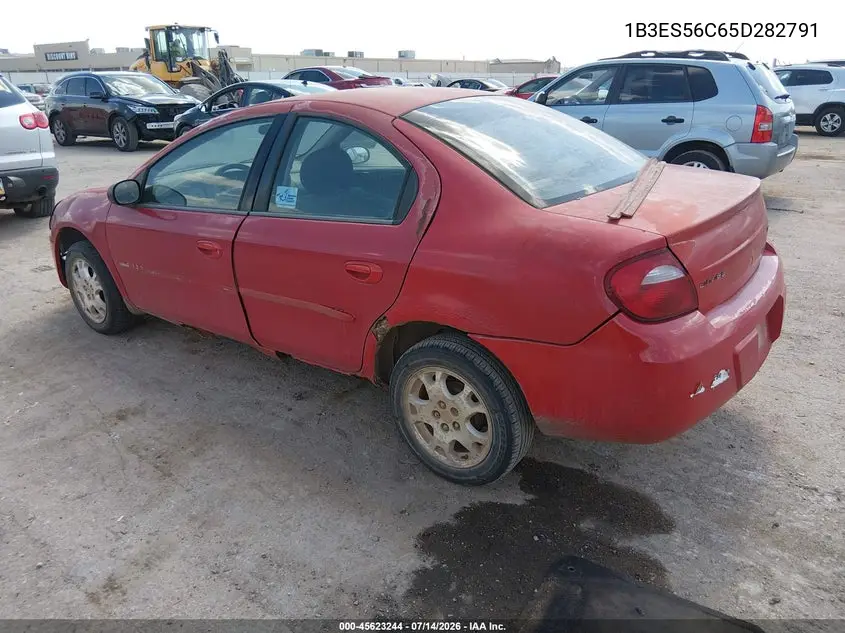 2005 Dodge Neon Sxt VIN: 1B3ES56C65D282791 Lot: 45623244