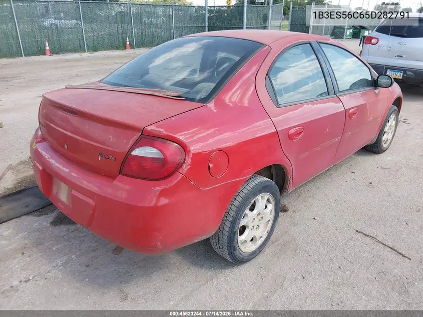 2005 Dodge Neon Sxt VIN: 1B3ES56C65D282791 Lot: 45623244