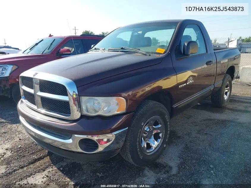 2005 Dodge Ram 1500 St VIN: 1D7HA16K25J543873 Lot: 45585617