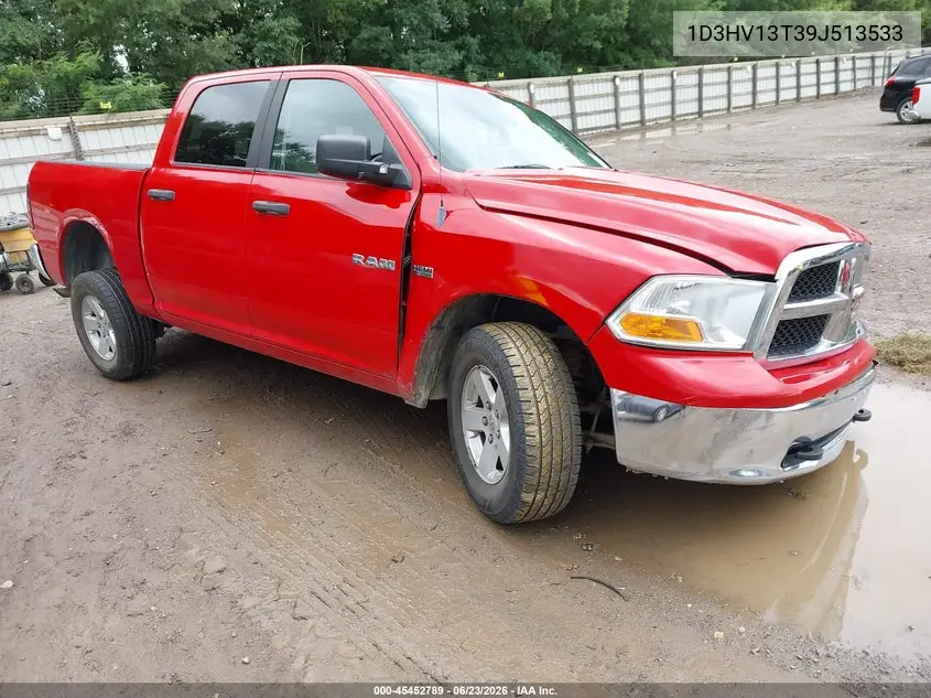 2009 Dodge Ram 1500 Slt/Sport/Trx VIN: 1D3HV13T39J513533 Lot: 45452789