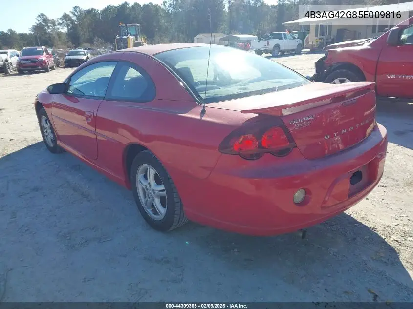 2005 Dodge Stratus Sxt VIN: 4B3AG42G85E009816 Lot: 44309365