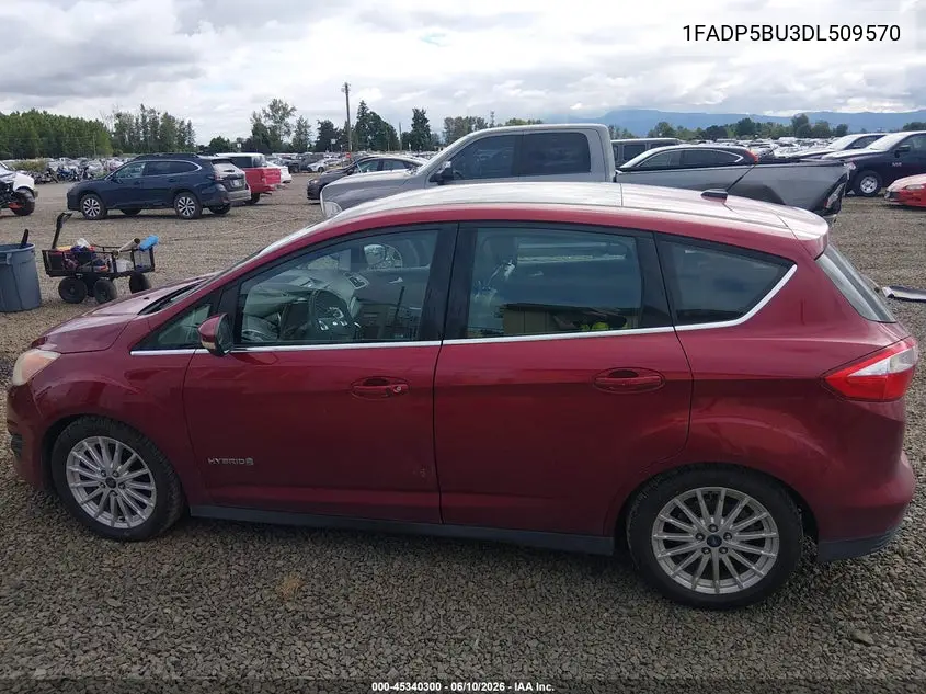 2013 Ford C-Max Hybrid Sel VIN: 1FADP5BU3DL509570 Lot: 45340300