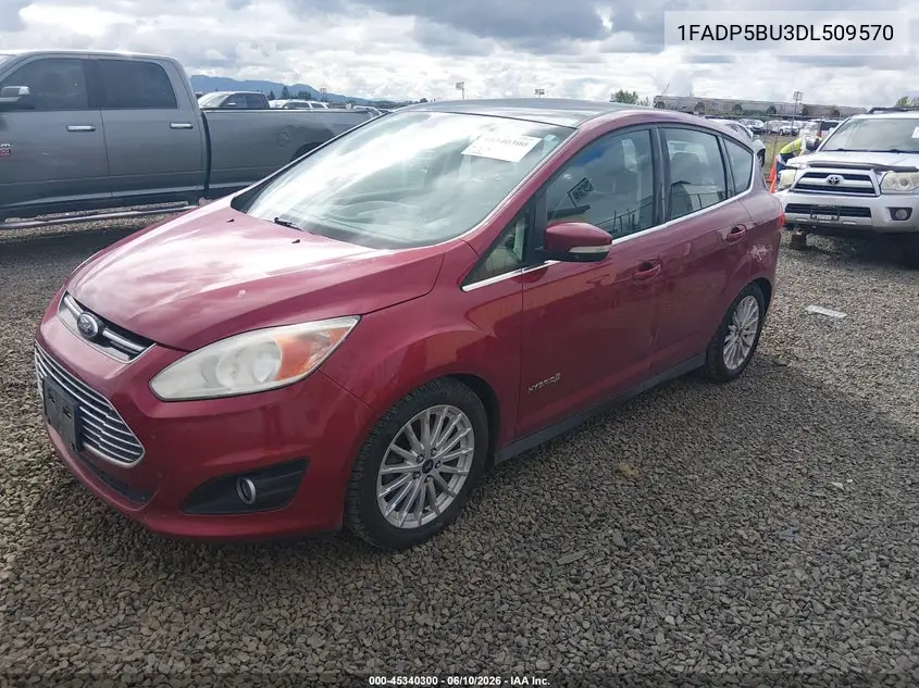 2013 Ford C-Max Hybrid Sel VIN: 1FADP5BU3DL509570 Lot: 45340300