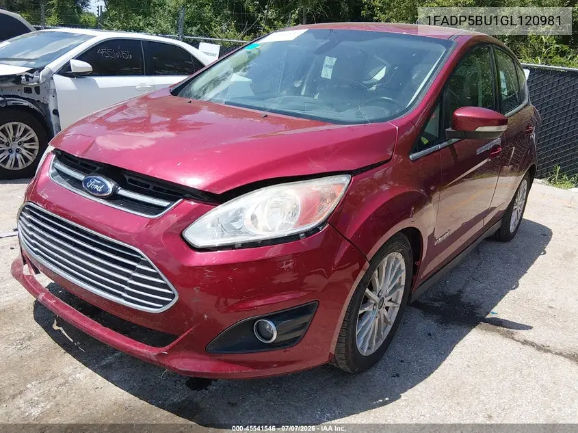 2016 Ford C-Max Hybrid Sel VIN: 1FADP5BU1GL120981 Lot: 45541546