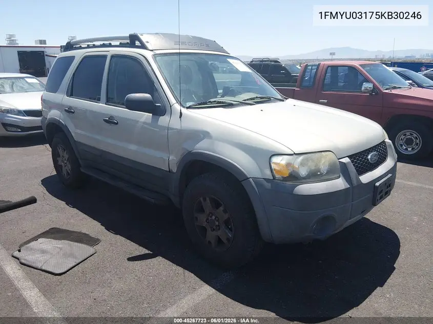 2005 Ford Escape Xlt VIN: 1FMYU03175KB30246 Lot: 45267723