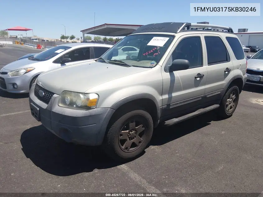 2005 Ford Escape Xlt VIN: 1FMYU03175KB30246 Lot: 45267723