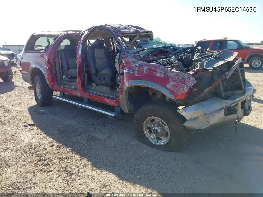 2005 Ford Excursion Eddie Bauer VIN: 1FMSU45P65EC14636 Lot: 43933220