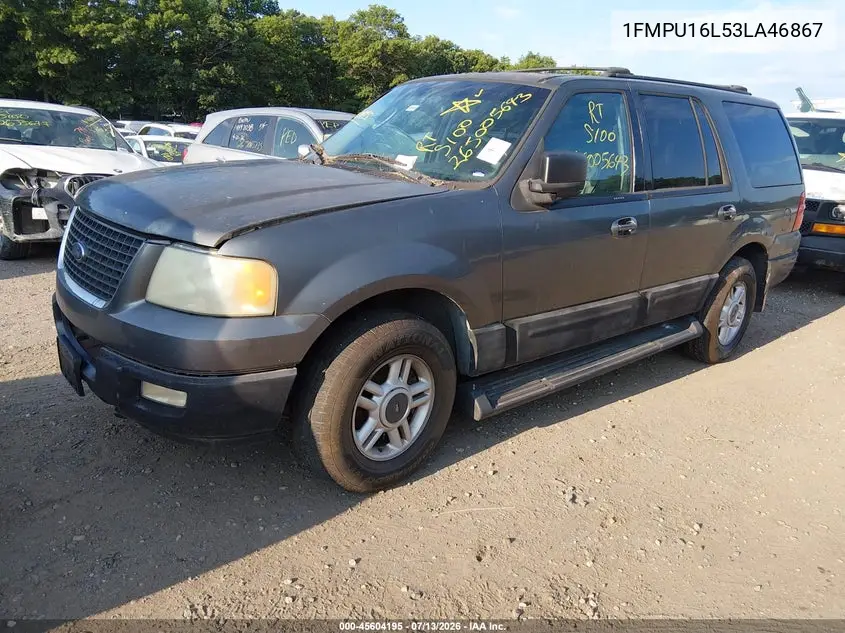 2003 Ford Expedition Xlt VIN: 1FMPU16L53LA46867 Lot: 45604195