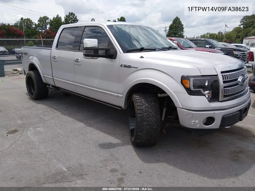 2009 Ford F-150 Fx4/King Ranch/Lariat/Platinum/Xl/Xlt VIN: 1FTPW14V09FA38623 Lot: 45682700