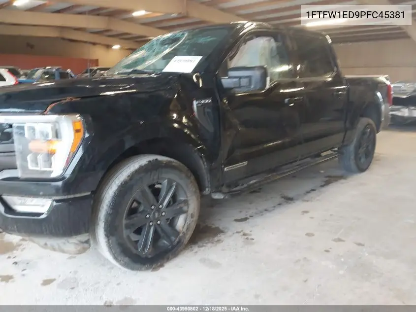 1FTFW1ED9PFC45381 2023 Ford F-150 Xlt