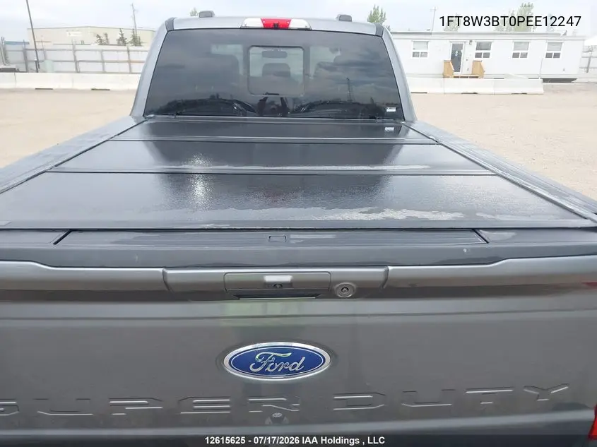 2023 Ford F350 VIN: 1FT8W3BT0PEE12247 Lot: 12615625x