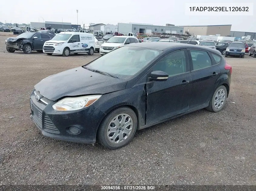 2014 Ford Focus Se VIN: 1FADP3K29EL120632 Lot: 30094556