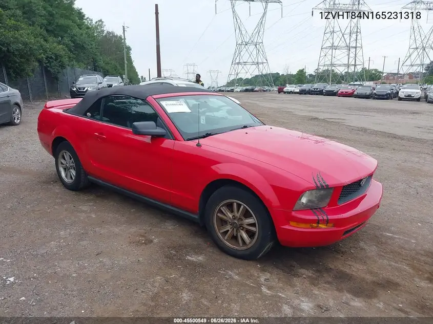 2006 Ford Mustang V6 VIN: 1ZVHT84N165231318 Lot: 45500549