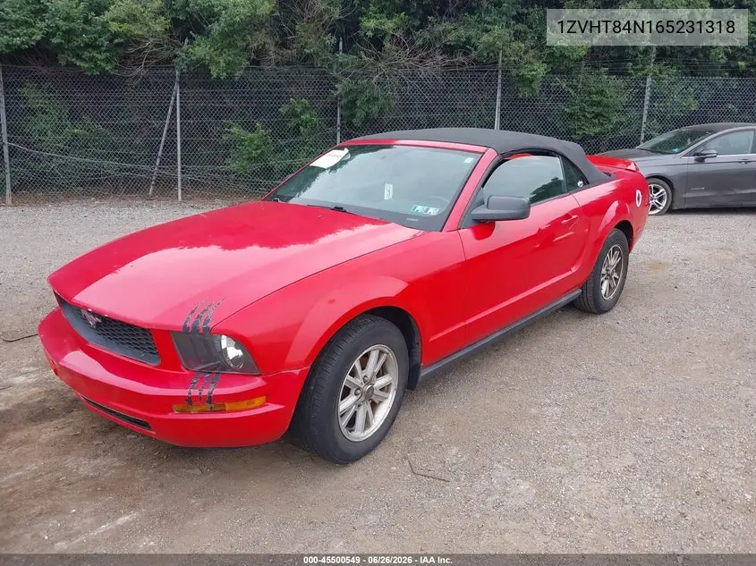 2006 Ford Mustang V6 VIN: 1ZVHT84N165231318 Lot: 45500549