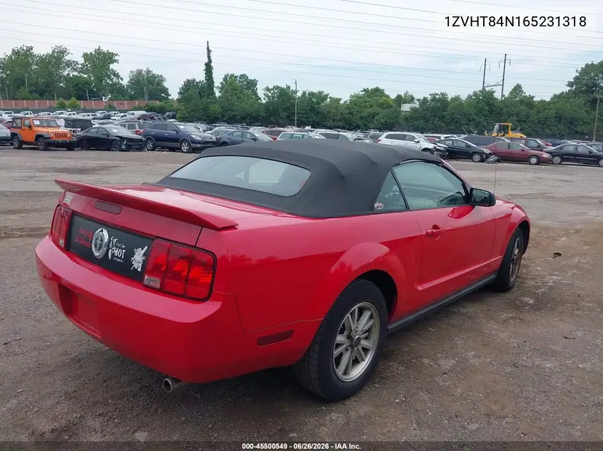 2006 Ford Mustang V6 VIN: 1ZVHT84N165231318 Lot: 45500549