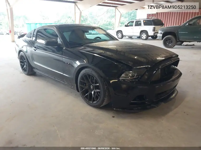 2013 Ford Mustang V6 VIN: 1ZVBP8AM9D5213250 Lot: 45321566