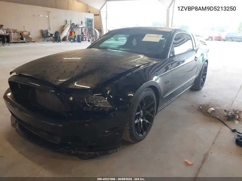 2013 Ford Mustang V6 VIN: 1ZVBP8AM9D5213250 Lot: 45321566