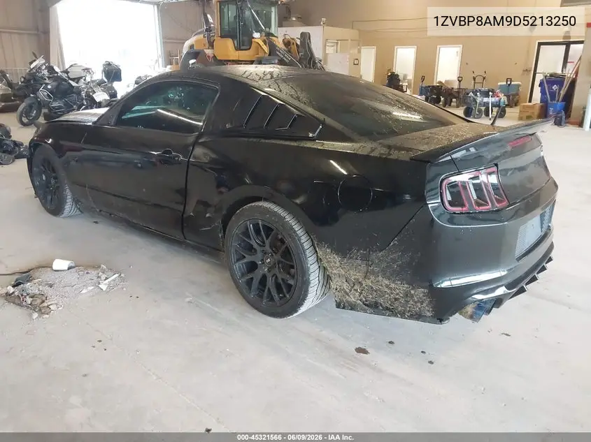 2013 Ford Mustang V6 VIN: 1ZVBP8AM9D5213250 Lot: 45321566