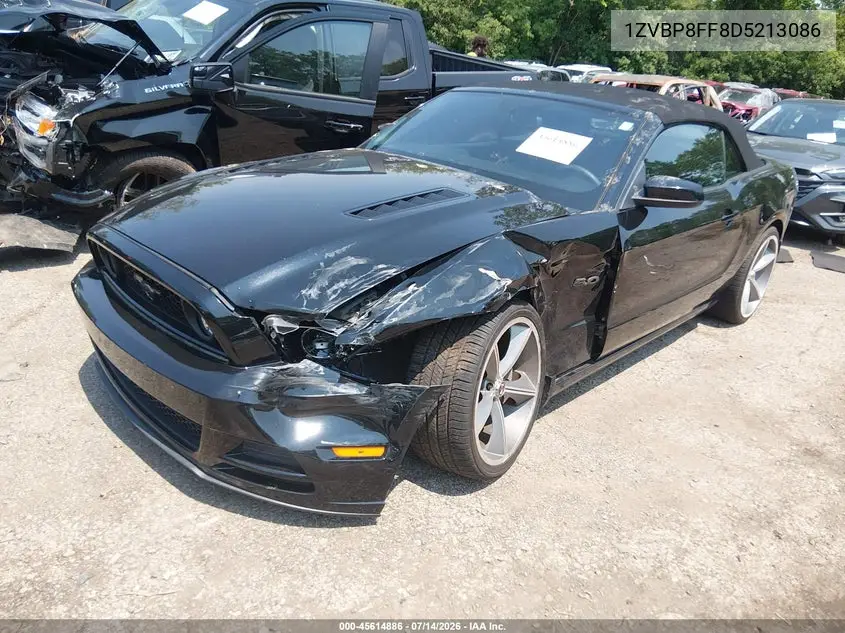 2013 Ford Mustang Gt Premium VIN: 1ZVBP8FF8D5213086 Lot: 45614886