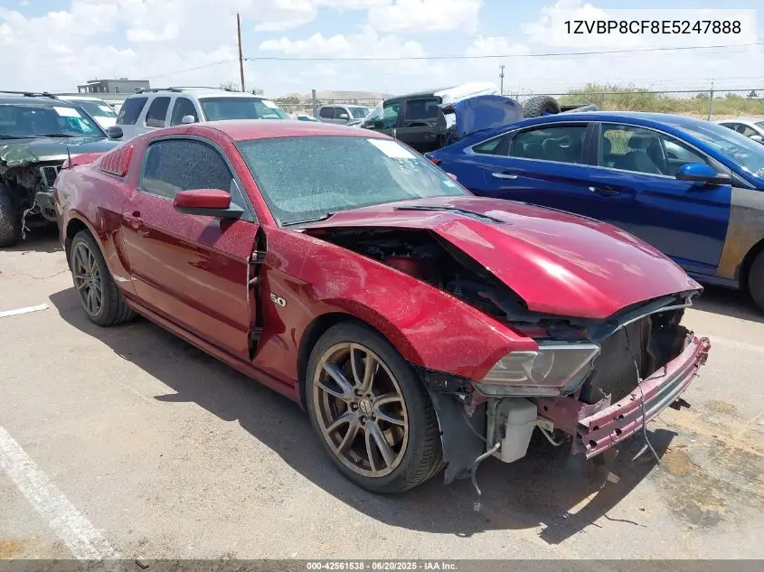 1ZVBP8CF8E5247888 2014 Ford Mustang Gt Premium
