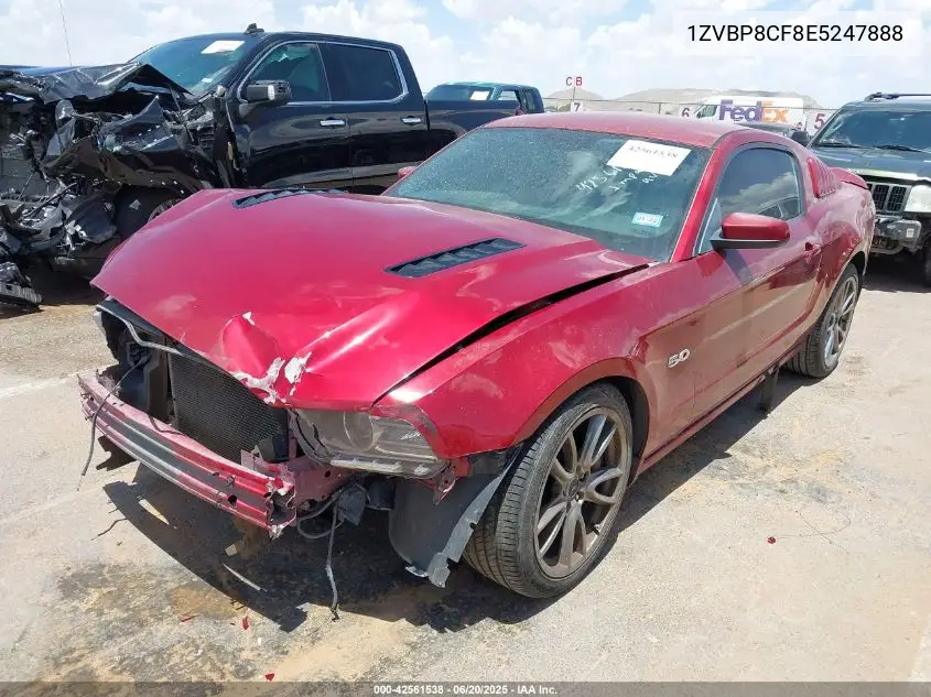 1ZVBP8CF8E5247888 2014 Ford Mustang Gt Premium