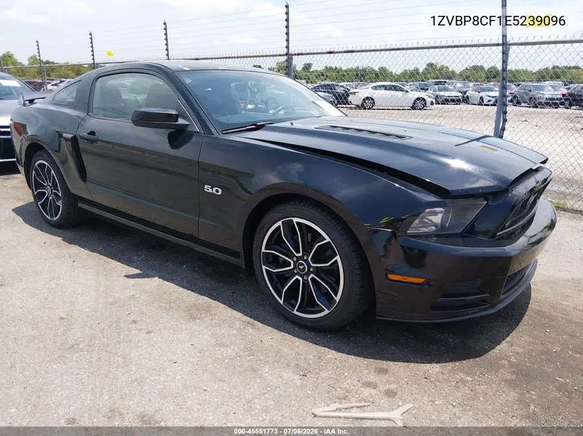 2014 Ford Mustang Gt/Gt Premium VIN: 1ZVBP8CF1E5239096 Lot: 45551773
