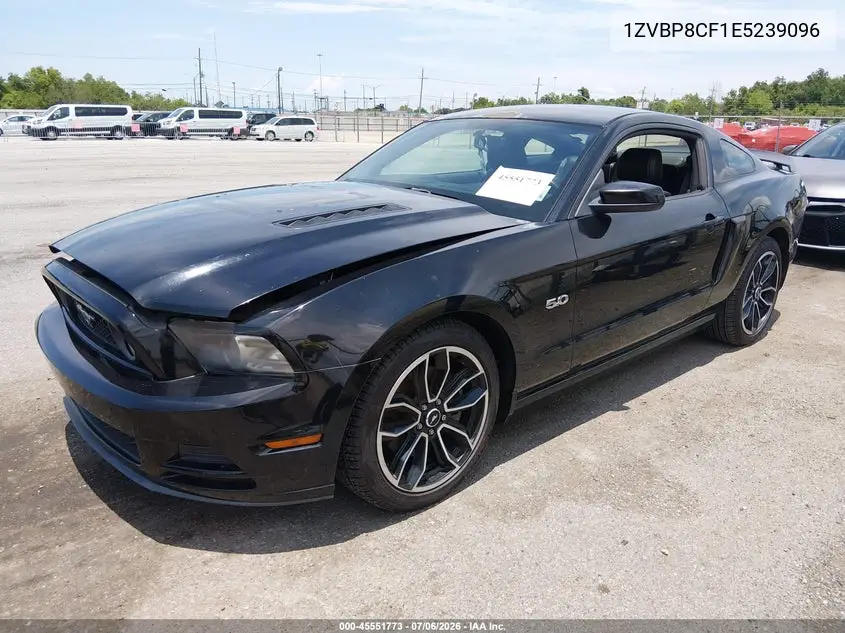 2014 Ford Mustang Gt/Gt Premium VIN: 1ZVBP8CF1E5239096 Lot: 45551773
