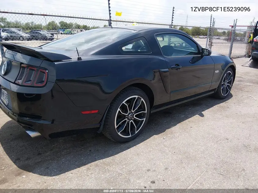 2014 Ford Mustang Gt/Gt Premium VIN: 1ZVBP8CF1E5239096 Lot: 45551773