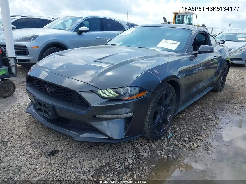 2019 Ford Mustang Ecoboost VIN: 1FA6P8TH3K5134177 Lot: 45372498