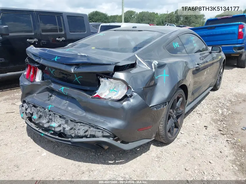 2019 Ford Mustang Ecoboost VIN: 1FA6P8TH3K5134177 Lot: 45372498