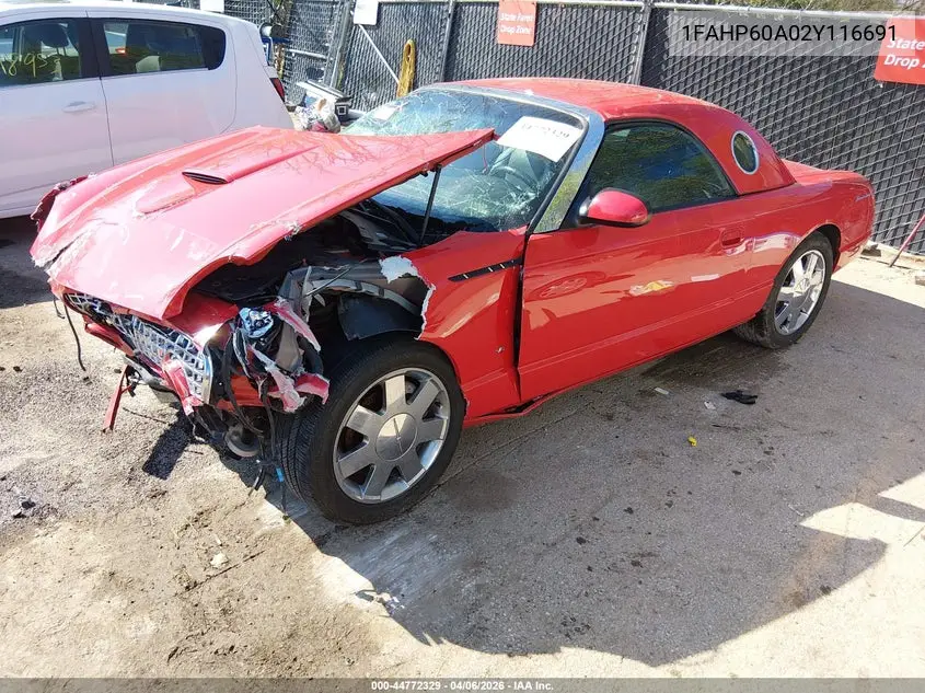 2002 Ford Thunderbird VIN: 1FAHP60A02Y116691 Lot: 44772329