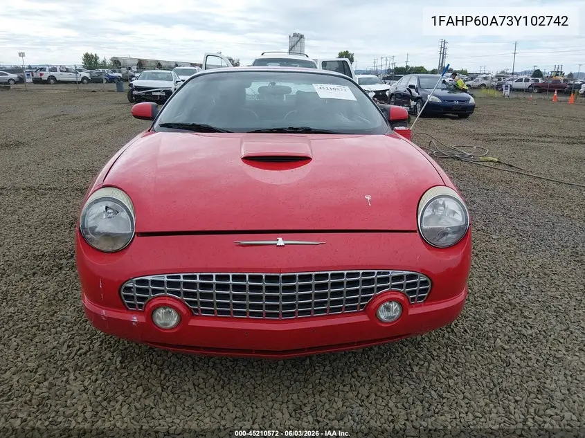 2003 Ford Thunderbird VIN: 1FAHP60A73Y102742 Lot: 45210572