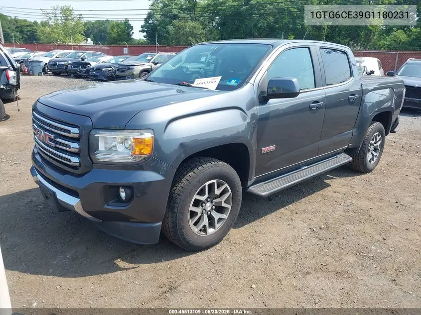 2016 GMC Canyon 4Wd Sle VIN: 1GTG6CE39G1180231 Lot: 45513109