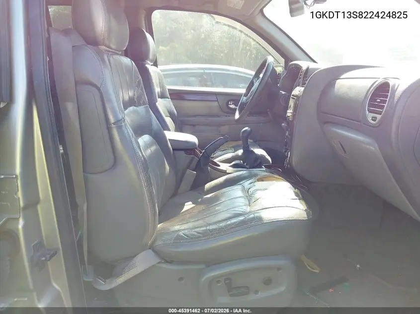2002 GMC Envoy Slt VIN: 1GKDT13S822424825 Lot: 45391462
