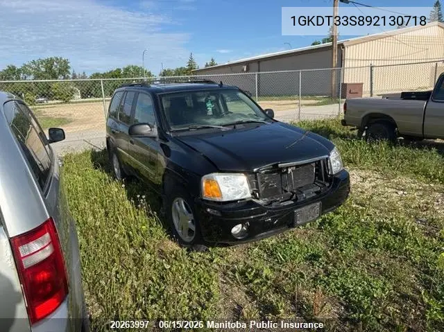 2009 GMC Envoy Sle VIN: 1GKDT33S892130718 Lot: 20263997